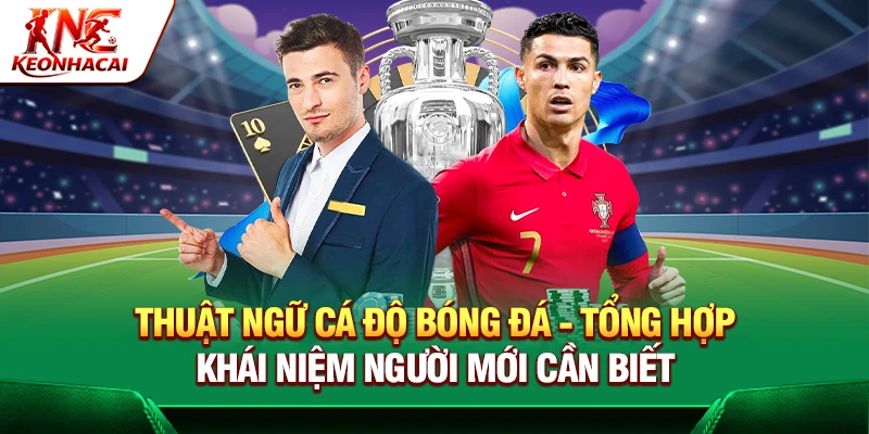 https://flowmine.io/thuat-ngu-ca-do-bong-da/